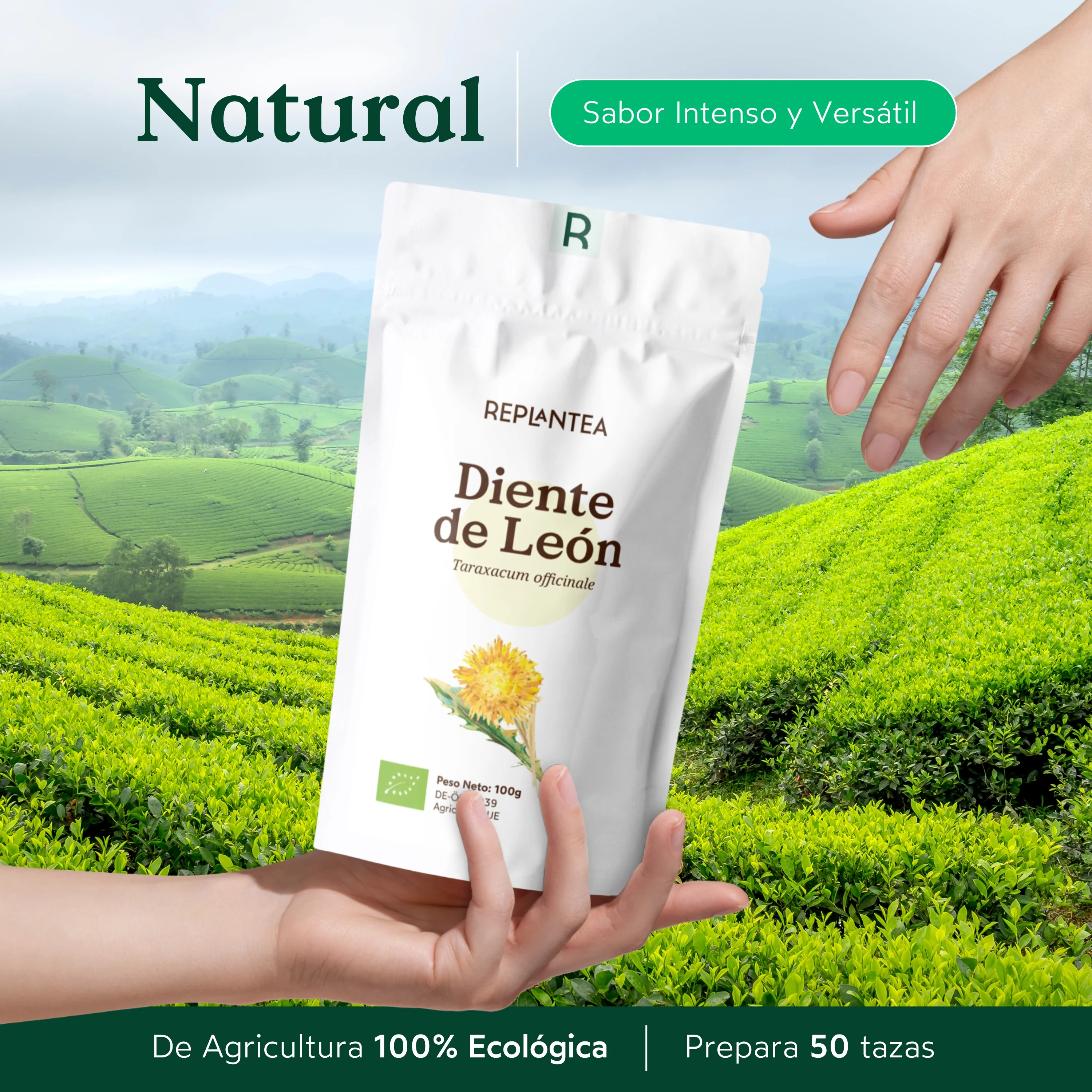 Imagen del producto 7