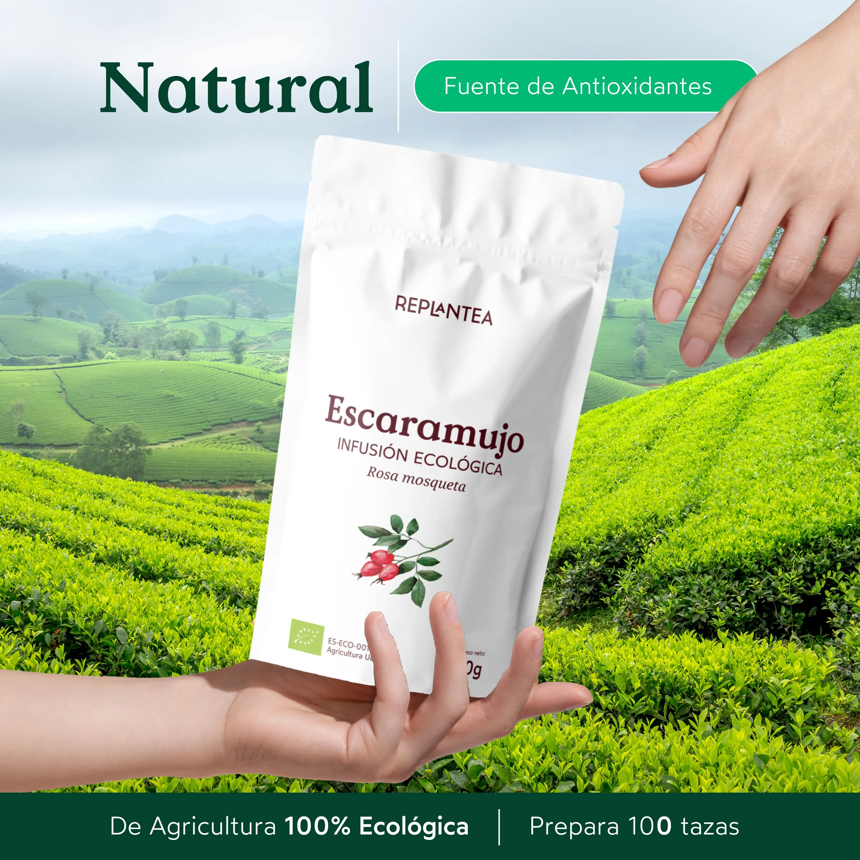 Imagen del producto 3