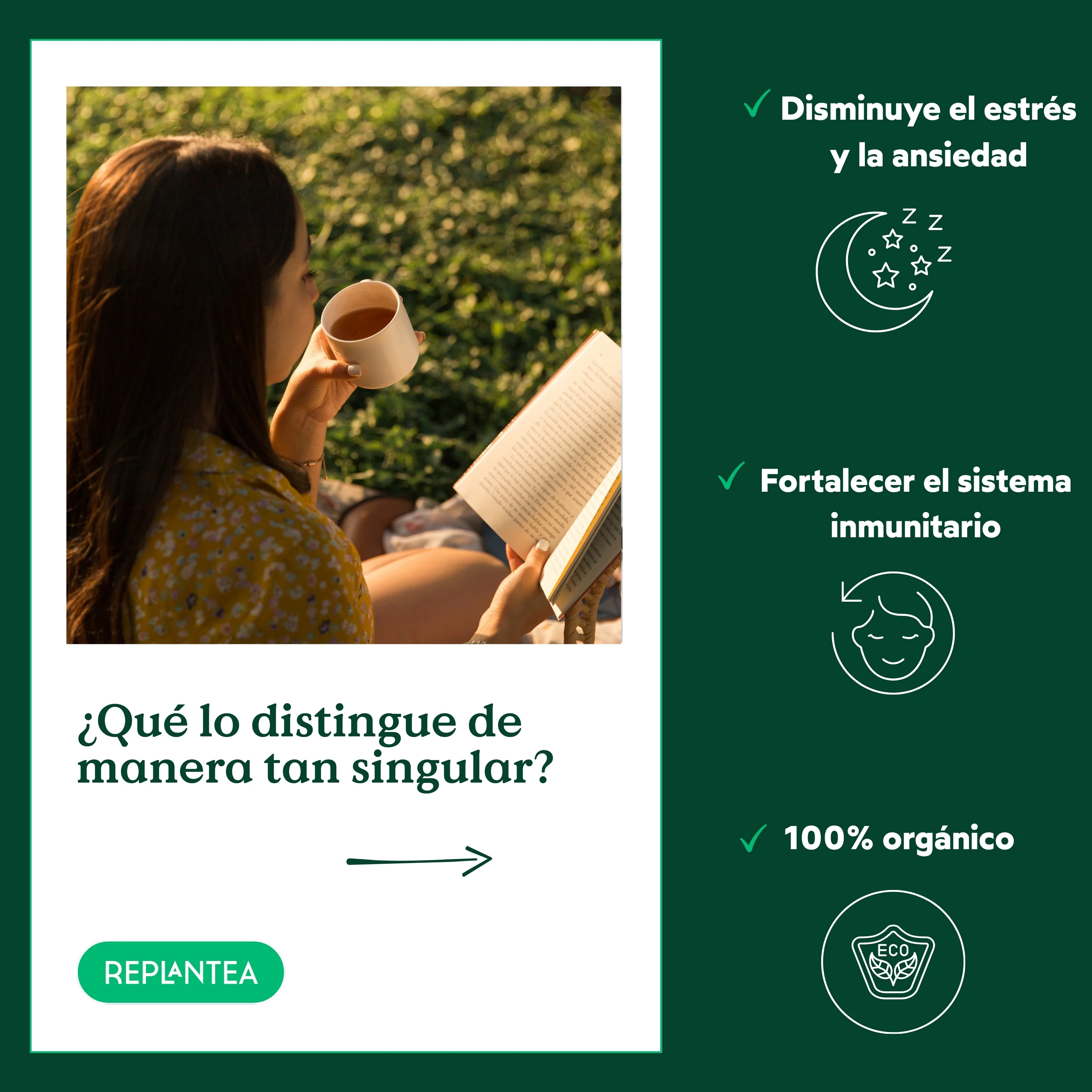 Imagen del producto 9