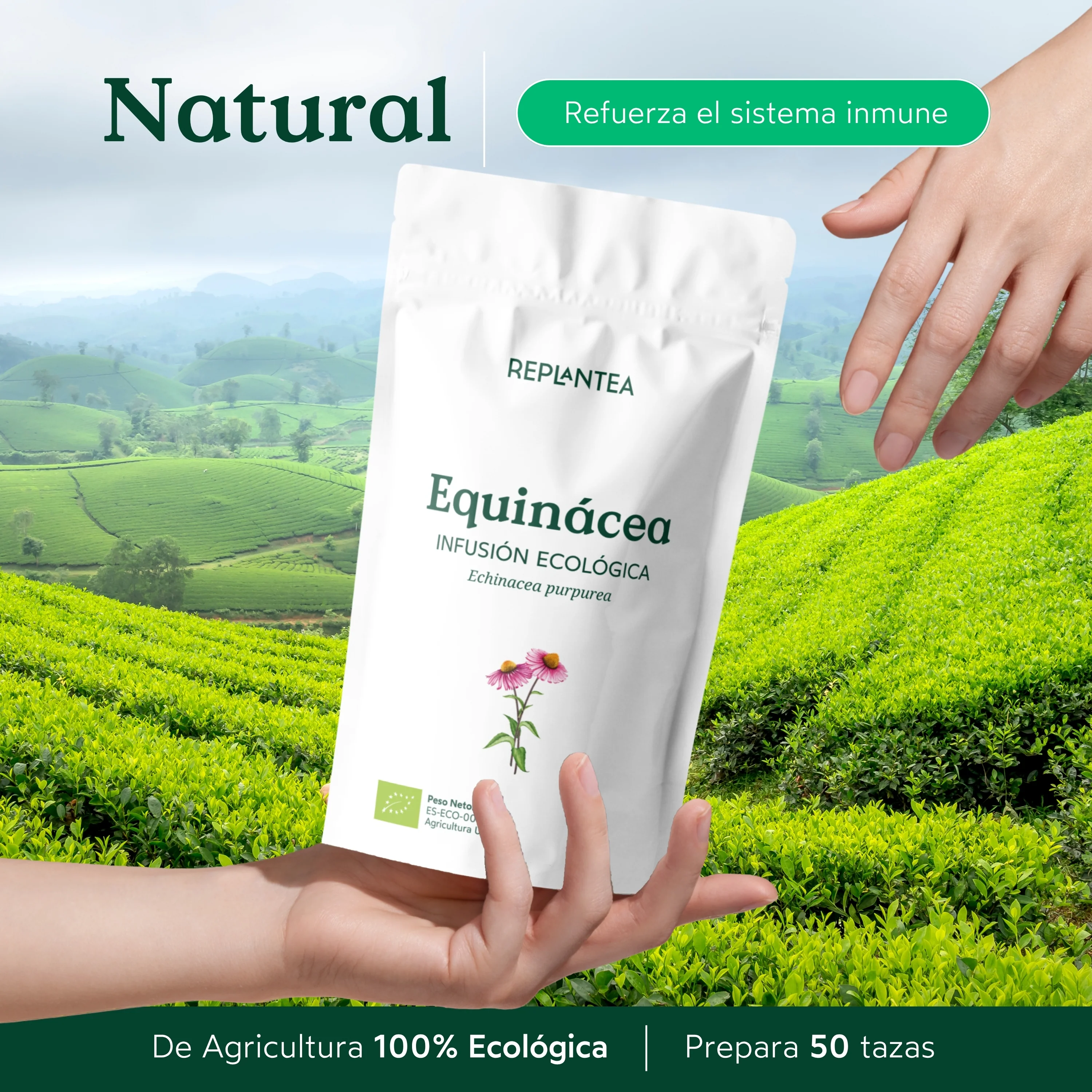 Imagen del producto 6
